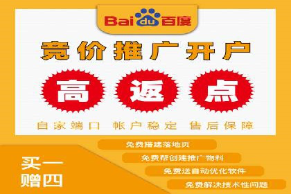 竞价托管服务对比：不同平台的优劣分析